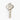 White Gold Key with 970