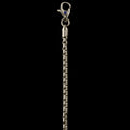 White gold chain with a clasp