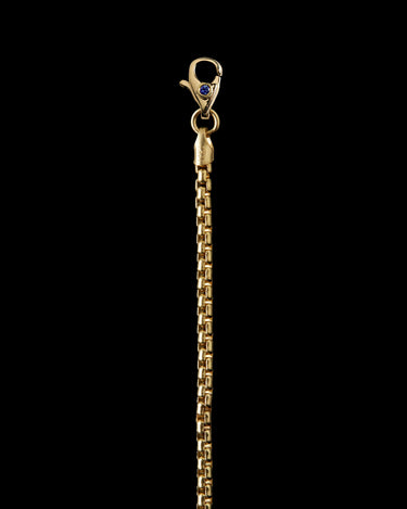 Gold chain with a clasp
